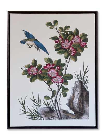 Audubon Flower and Blue Winged Bird Framed Art